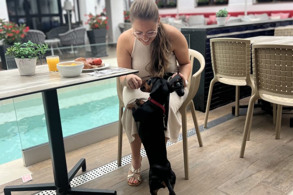 Hotel-para-perros-4B